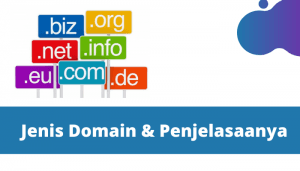 jenis domain dan penjelasannya