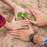 5 Contoh Menumbuhkan Perilaku Peduli Lingkungan Bagi Anak
