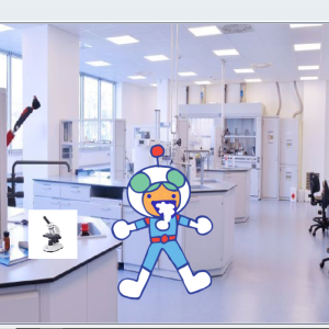 Game by Ochi - SD borneo indah marjaya Kaltim - My Lab In Greenland