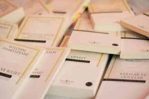 novel pertama di dunia 